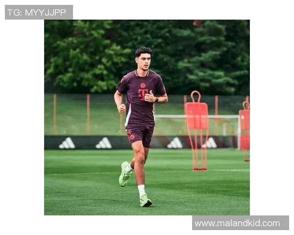 帕夫洛维奇盛赞米兰团队精神,逆转的火焰永不熄灭!